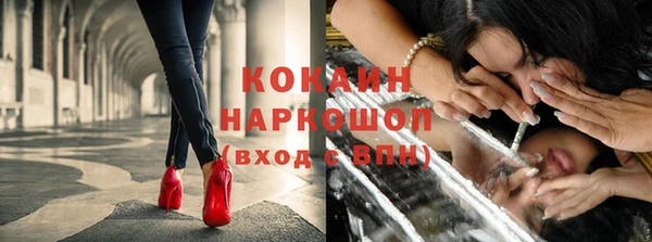шишки Зерноград