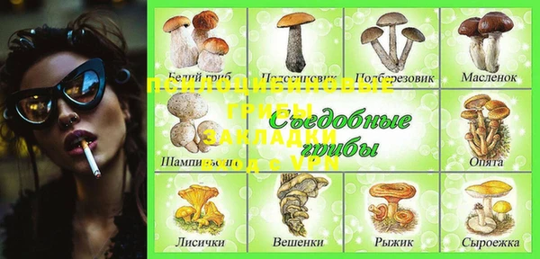 прущая мука Иннополис