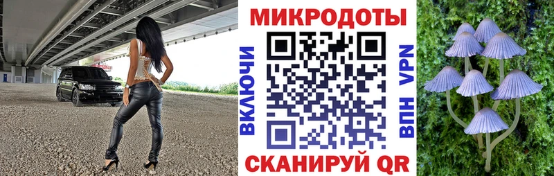 Псилоцибиновые грибы Cubensis  Купить где  Таштагол 